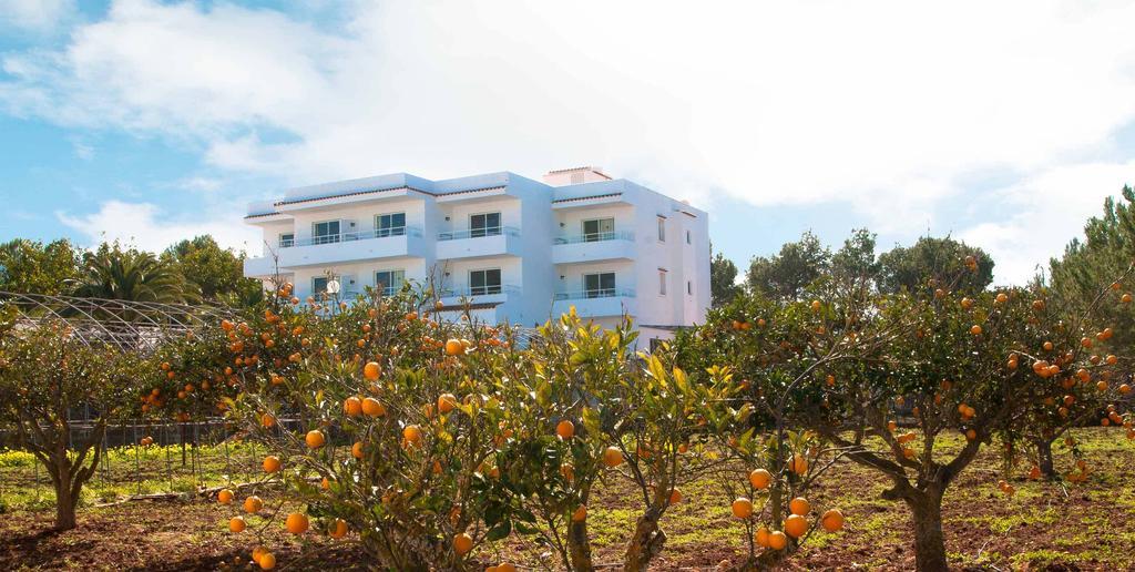 Sunset Oasis Ibiza Adults Only - New Rooms 2025 San Antonio  Eksteriør billede