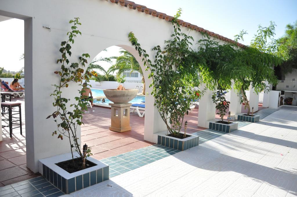 Sunset Oasis Ibiza Adults Only - New Rooms 2025 San Antonio  Eksteriør billede
